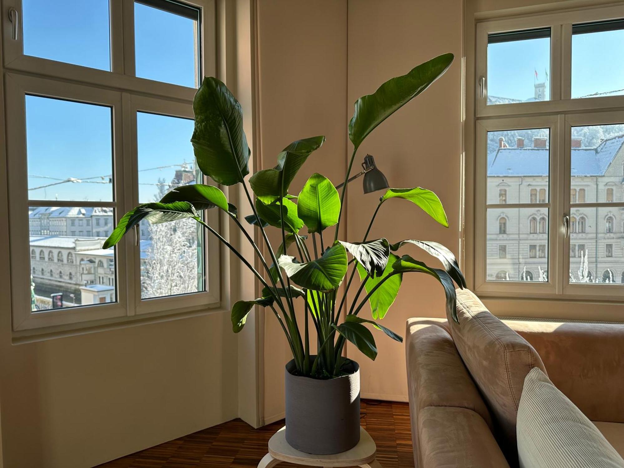 Triple Bridge Ljubljana Apartment Exterior photo